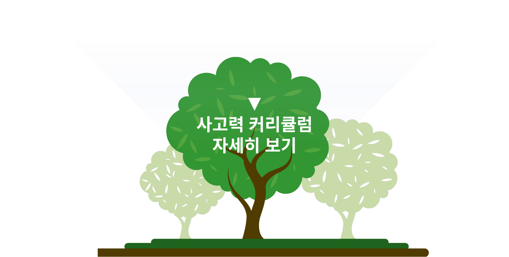 수피온-사고력-커리큘럼 자세히 보기 버튼